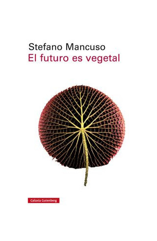 imagen-libro