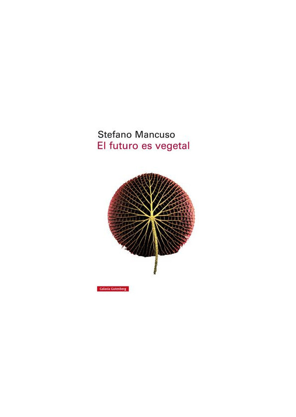 imagen-libro