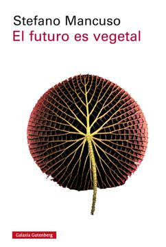 imagen-libro