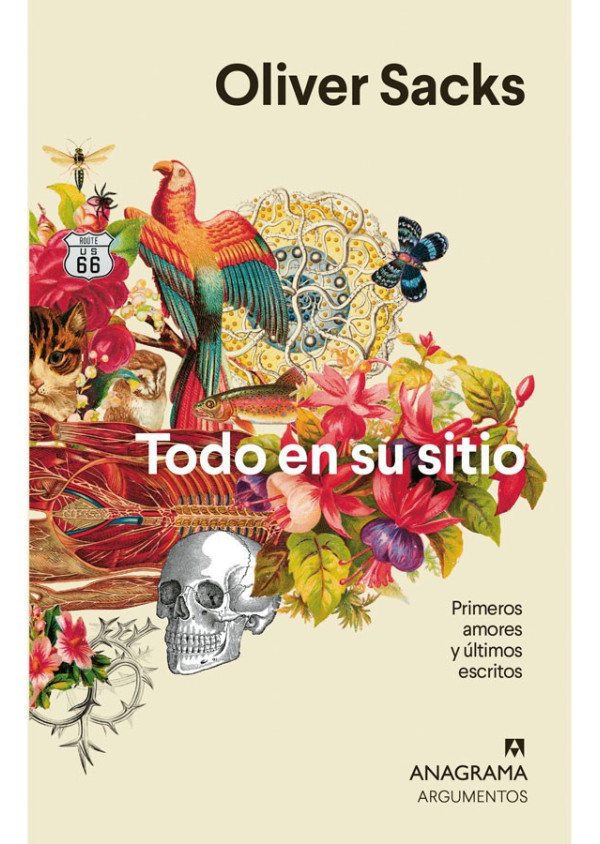 TODO EN SU SITIO PRIMEROS AMORES Y ULTIMOS ESCRITOS