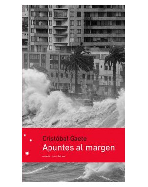 APUNTES AL MARGEN