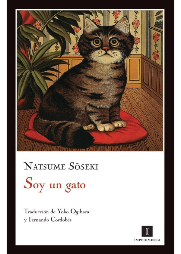SOY UN GATO