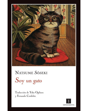 SOY UN GATO
