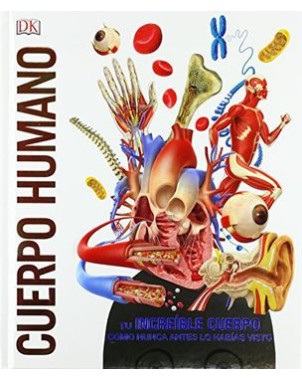 CUERPO HUMANO