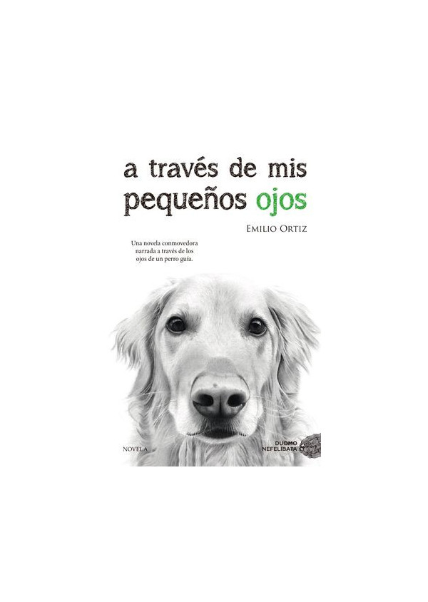 A TRAVES DE MIS PEQUEÑOS OJOS