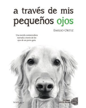 A TRAVES DE MIS PEQUEÑOS OJOS