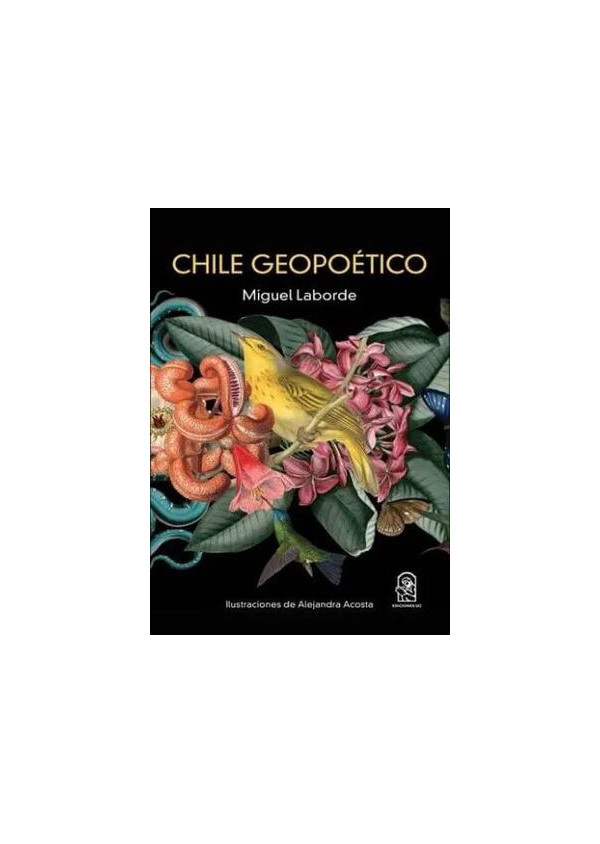 CHILE GEOPOETICO