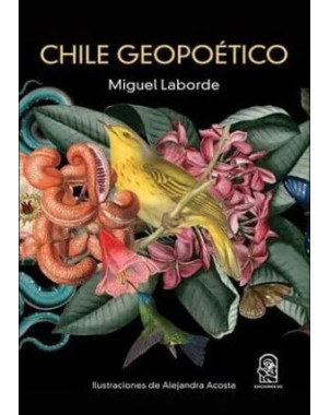 CHILE GEOPOETICO