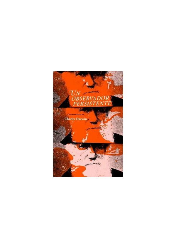 UN OBSERVADOR PERSISTENTE