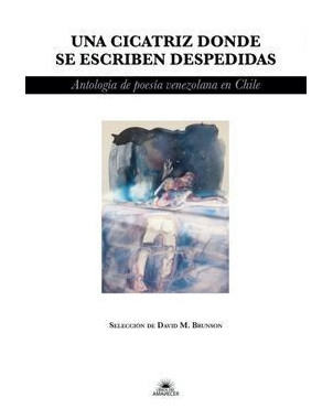 UNA CICATRIZ DONDE SE ESCRIBEN DESPEDIDAS