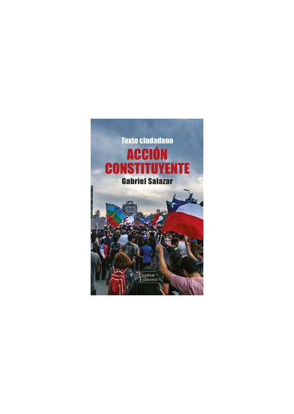 ACCION CONSTITUYENTE