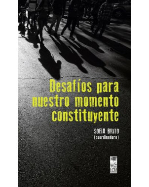 DESAFIOS PARA NUESTRO MOMENTO CONSTITUYENTE