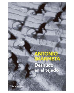DESNUDO EN EL TEJADO