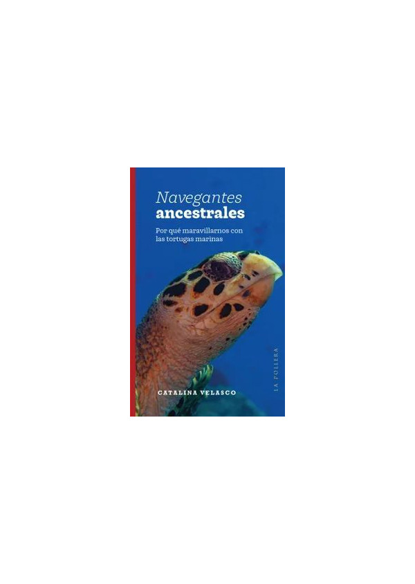 NAVEGANTES ANCESTRALES