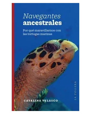 NAVEGANTES ANCESTRALES