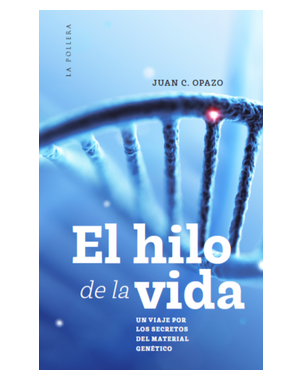 EL HILO DE LA VIDA