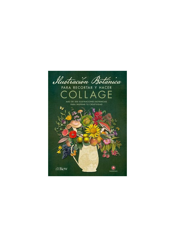 ILUSTRACION BOTANICA PARA RECORTAR Y HACER COLLAGE