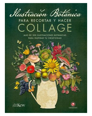 ILUSTRACION BOTANICA PARA RECORTAR Y HACER COLLAGE