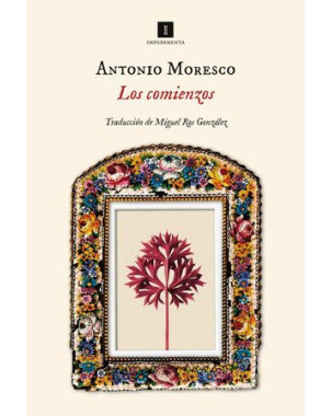 LOS COMIENZOS
