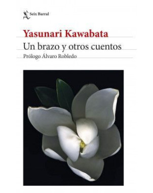 UN BRAZO Y OTROS CUENTOS