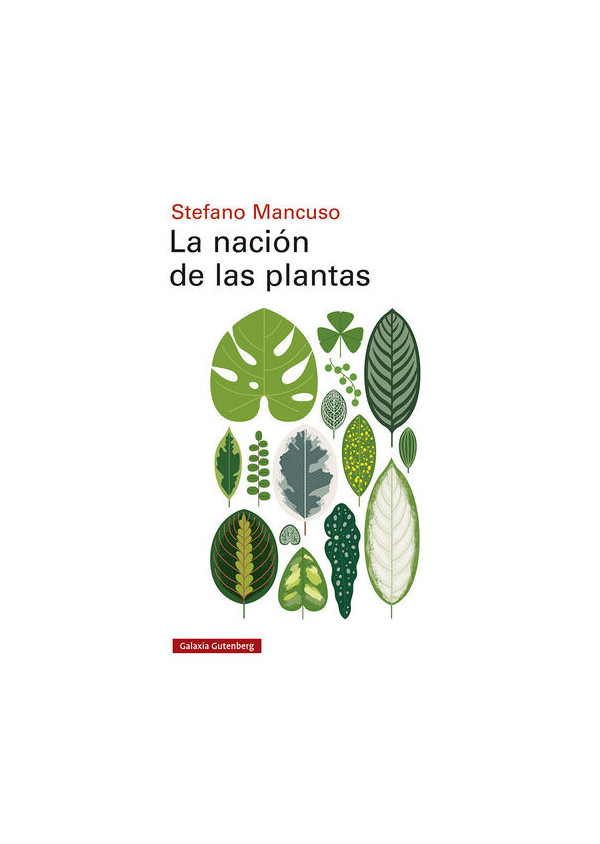 LA NACION DE LAS PLANTAS