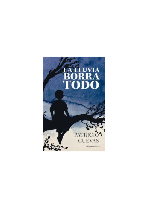 LA LLUVIA BORRA TODO