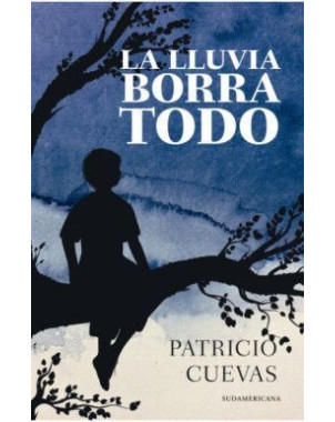 LA LLUVIA BORRA TODO