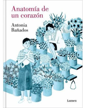 ANATOMIA DE UN CORAZON