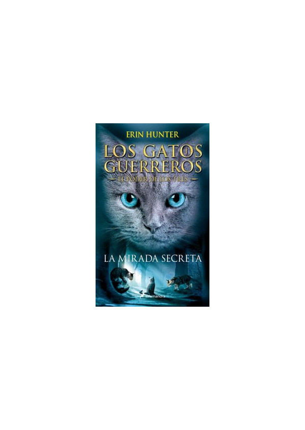 LA MIRADA SECRETA EL PODER DE LOS TRES