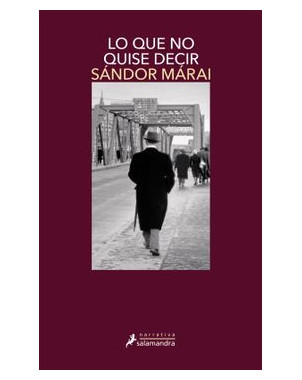 LO QUE NO QUISE DECIR