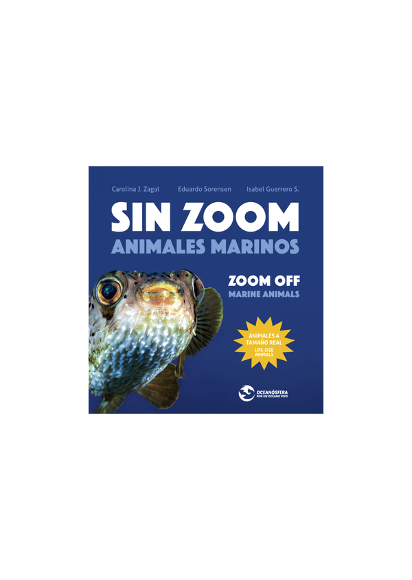 SIN ZOOM ANIMALES MARINOS