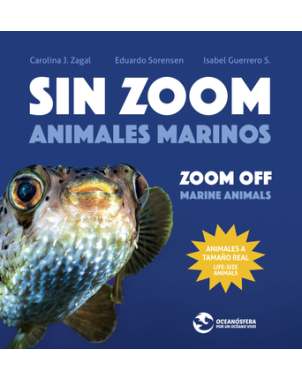 SIN ZOOM ANIMALES MARINOS